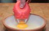 Dunk EM1WHT Eggman Egg Yolk Seperator Uses Suction Easy Clean And Storage - New