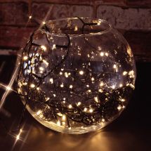 Lyyt 155.603 High Quality Indoor 20 Warm White LED Battery Powered String Lights
